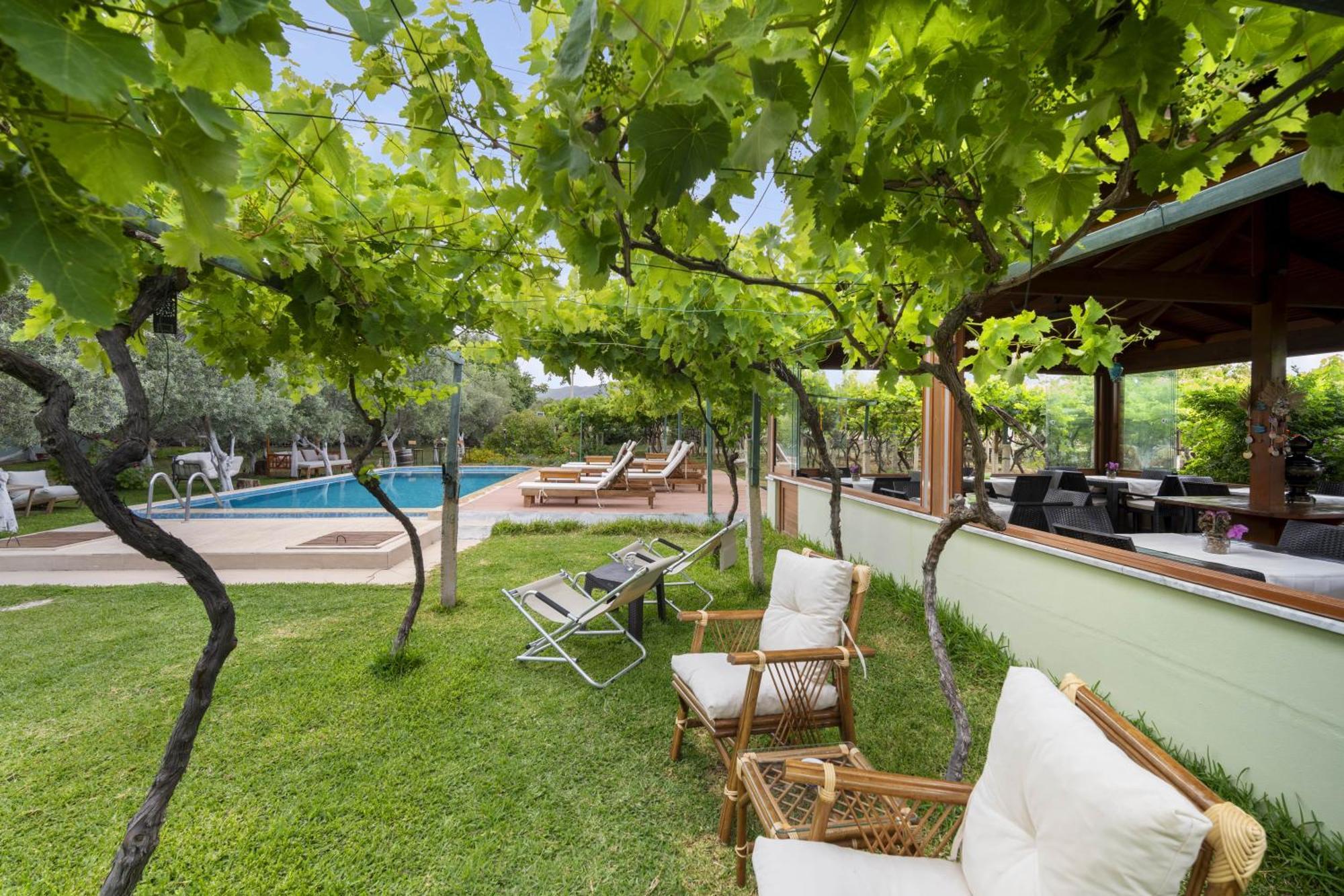 Grape Datca 호텔 Kızlanköy 외부 사진
